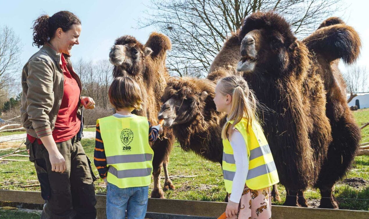 kam ísť vo Vejle givskud-zoo
