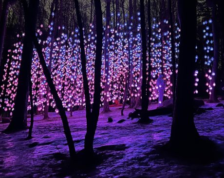 čo vidieť v Osle Ekeberg light show